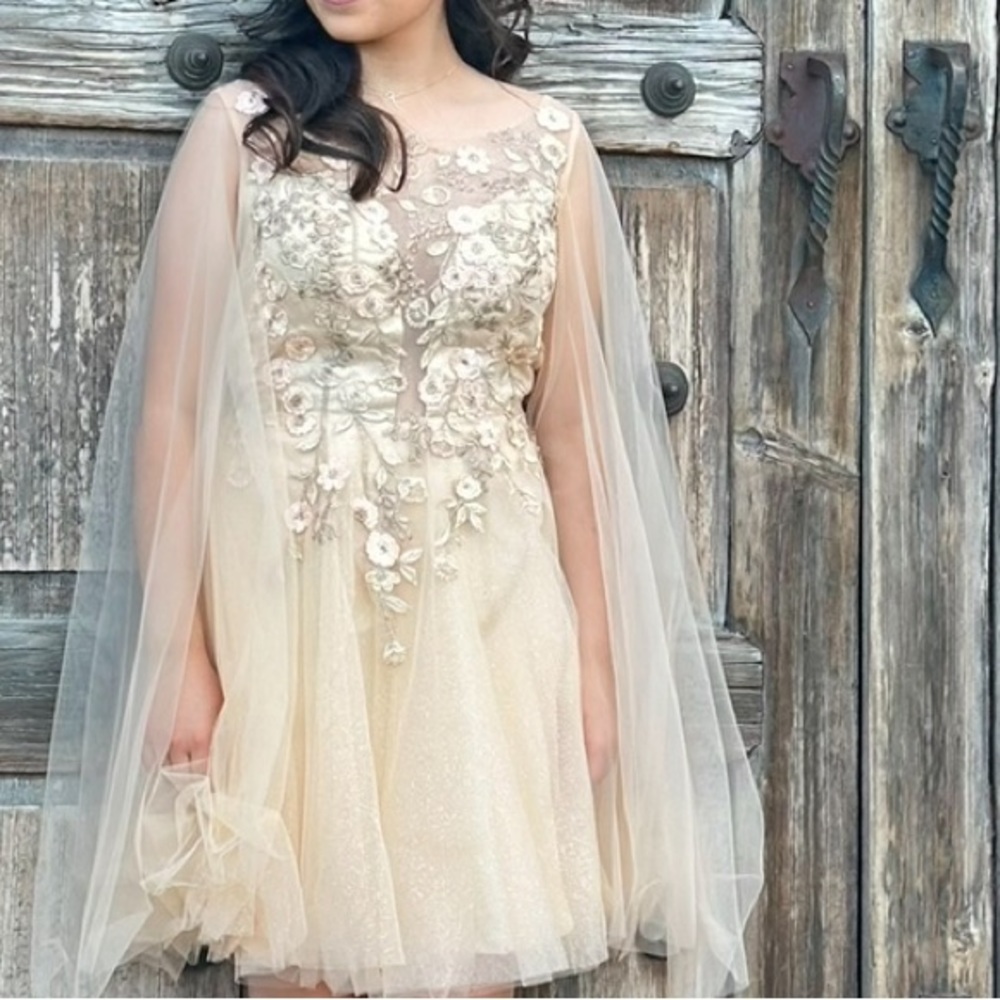 BICICI & COTY gorgeous dress! Size- Small